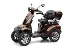 E-Seniorenmobil MAXXI 4.0 - Lithium Akku - 1000W - 25km/h - ^ Prestige Home Best