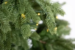 Weihnachtsbaum Roswell Kiefer 210 cm ^ EVERGREEN
