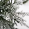 Weihnachtsbaum Sherwood Fichte 180 cm ^ EVERGREEN Hot