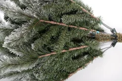 Weihnachtsbaum Sherwood Fichte 180 cm ^ EVERGREEN Hot