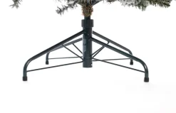 Weihnachtsbaum Sherwood Fichte 180 cm ^ EVERGREEN Hot