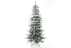 Weihnachtsbaum Sherwood Fichte 180 cm ^ EVERGREEN Hot