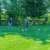 Panna-Fußballtor (Set mit 2 Toren) ^ Exit Outlet