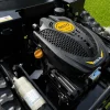 Ferngesteuerter Motor-Rasenmäher CW-500 Plus Schwarz Böschungsmäher mit Schneepflug ^ FM-Solar Clearance