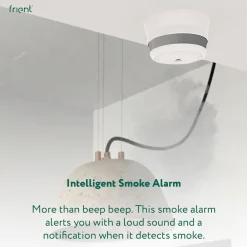 frient Intelligent Smoke Alarm (Zigbee) Best