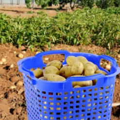 GREENLIFE Uni-Korb 25 kg, 10 Stück, drehstapelbar, blau