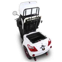 Elektromobil E-Mover 800 W 25 kmh inkl. Topcase ^ Greenstreet Hot