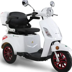 Elektromobil E-Mover 800 W 25 kmh inkl. Topcase ^ Greenstreet Hot
