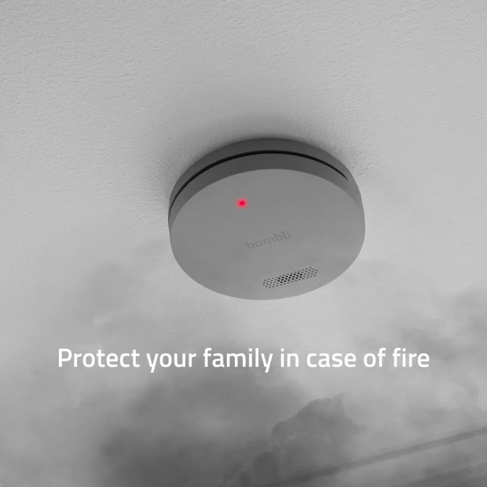 Avanca International BV Hombli smarter Rauchmelder grau