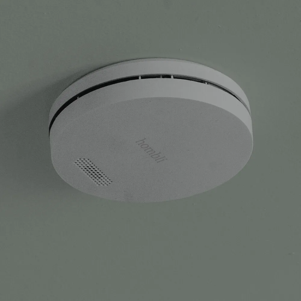 Avanca International BV Hombli smarter Rauchmelder grau