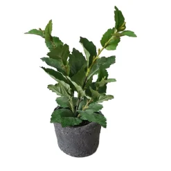 HTI-Living Grünpflanze im Topf Kunstpflanze Flora Best