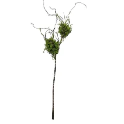 Zweig mit Vogelnestern Kunstpflanze Flora ^ HTI-Living Best