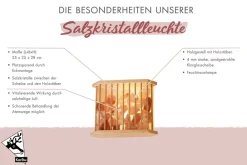 Karibu Salzkristallleuchte mit 4 kg Salzkristalle Saunaleuchte Saunalampe ohne Leuchtmittel