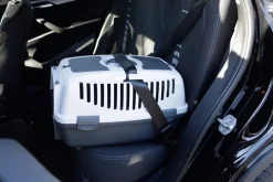 Transportbox Gulliver Box für Katzen / Kleintiere, mit Metalltür ^ Kerbl Online