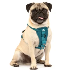 Kurgo Tru-Fit Autosicherheitsgeschirr für Hunde, Größe XS, Tintenblau ^ petsafe New