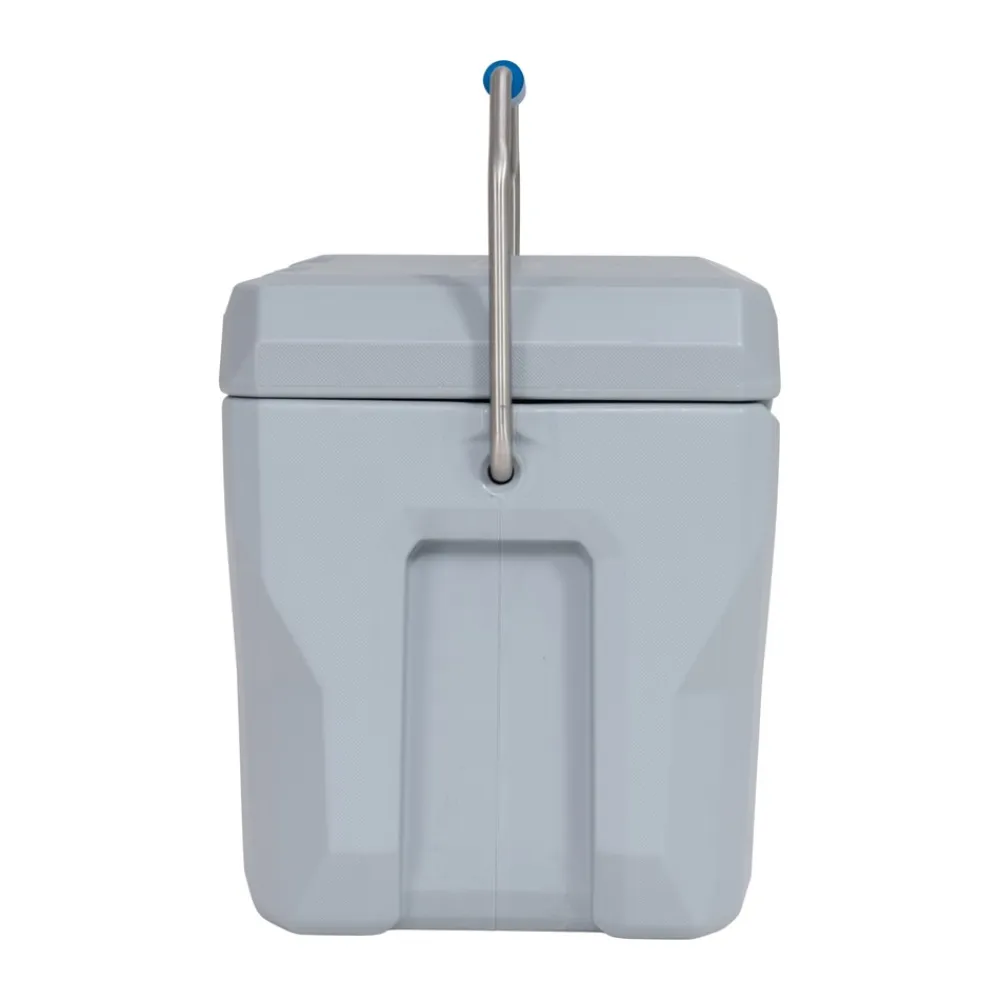 Kühlbox 26,5 Liter Volumen grau ^ Lifetime New