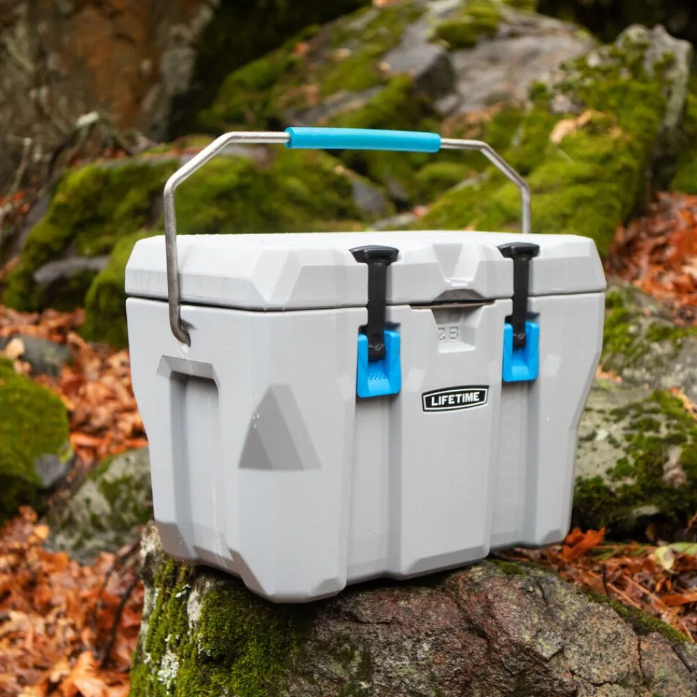 Kühlbox 26,5 Liter Volumen grau ^ Lifetime New