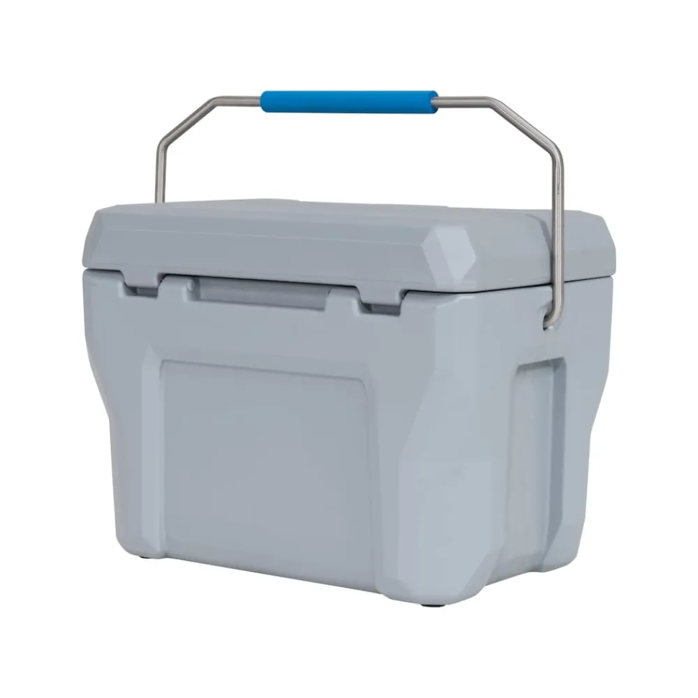 Kühlbox 26,5 Liter Volumen grau ^ Lifetime New