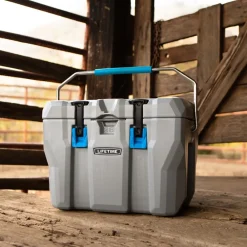 Kühlbox 26,5 Liter Volumen grau ^ Lifetime New