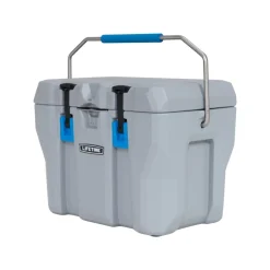 Kühlbox 26,5 Liter Volumen grau ^ Lifetime New