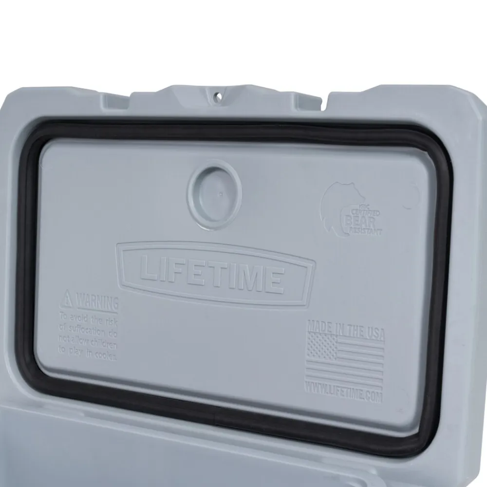 Kühlbox 26,5 Liter Volumen grau ^ Lifetime New