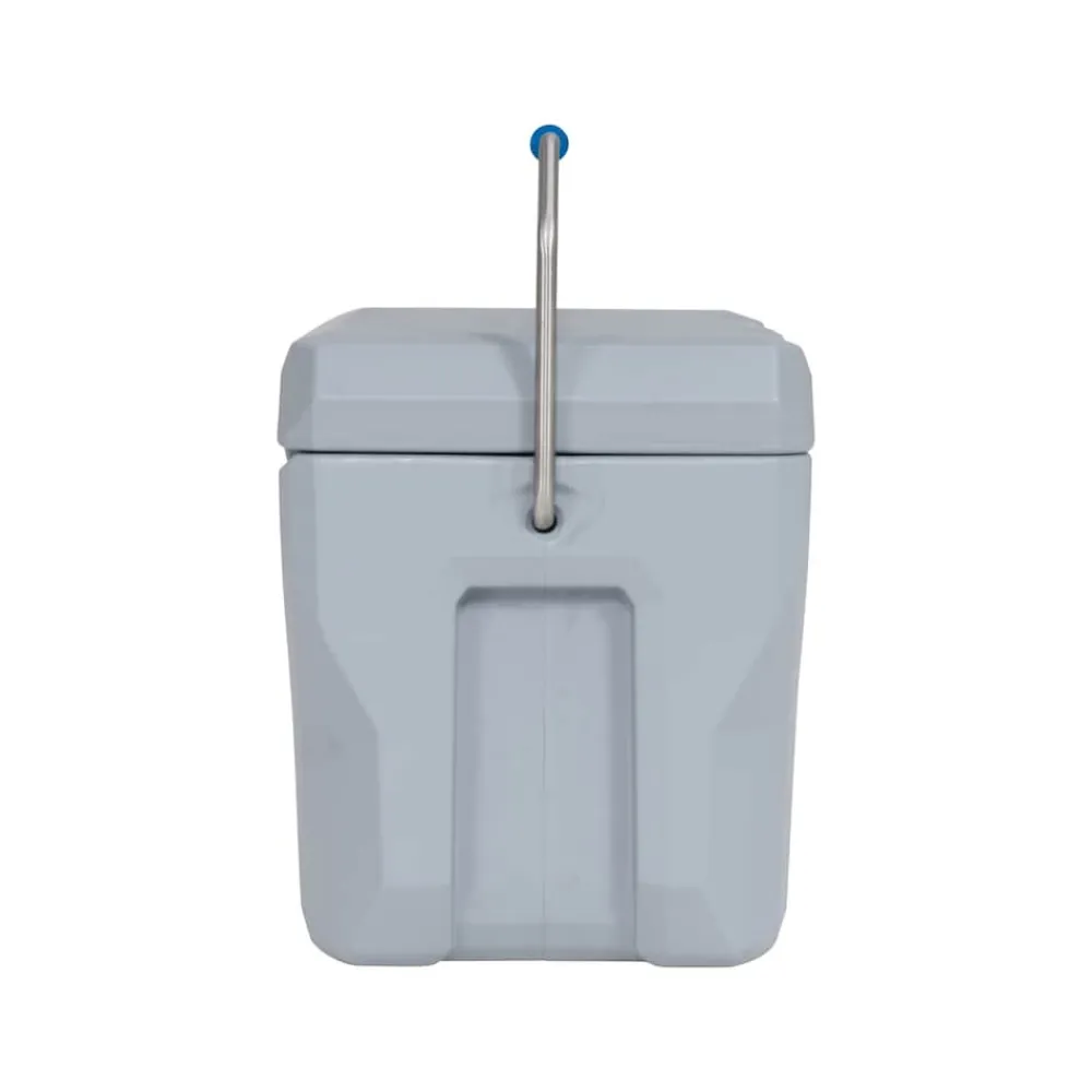 Kühlbox 26,5 Liter Volumen grau ^ Lifetime New
