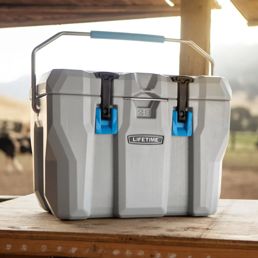 Kühlbox 26,5 Liter Volumen grau ^ Lifetime New