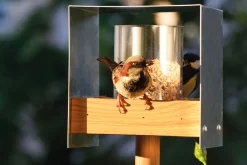 LUXUS-VOGELHAUS "Bauhaus II", Eiche, natur Outlet