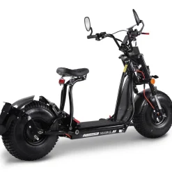 MAXIMUS , E-Cruiser 45 - 45 km/h, 60V-25,6 Ah Lithium Akku, 2x1500 Watt Hot