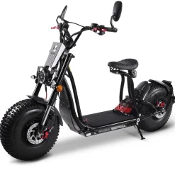 MAXIMUS , E-Cruiser 45 - 45 km/h, 60V-25,6 Ah Lithium Akku, 2x1500 Watt Hot