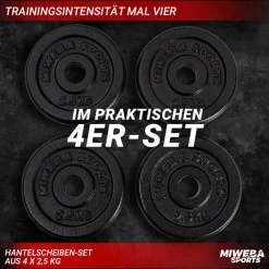 Hantelscheiben HSG25, 4x 2,5 kg Hantel-Gewichte, passend für Ø 30mm, Set, Gusseisen ^ Miweba Sports Hot