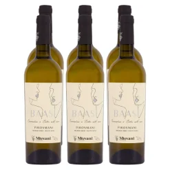 BAASI Pirosmani Weißwein 12,0 % vol 6 x 0,75 Liter ^ Mtevani Sale