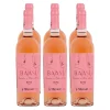BAASI Rosé 12,5 % vol 6 x 0,75 Liter ^ Mtevani Outlet