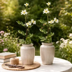 Clematis Weiß 2er Set 78 cm ^ NTK-Collection New