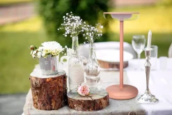 Näve Akku-Tischleuchte "PASI" rosa Hot