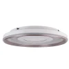 LED / CCT Deckenleuchte "DOIRA" Ø: 50cm ^ Näve Hot