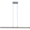 Näve LED Pendelleuchte "BEAM" Online