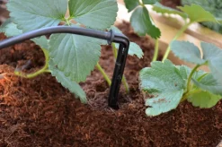 - Canopia | Bewässerungssystem, Micro-Drip-System für Gewächshaus ^ PALRAM Hot