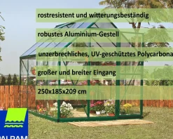 PALRAM - Canopia | Hybrid 2.5x1.9 Gewächshaus, grün in cm 250x185x209 (LxBxH) Clearance