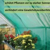 - Canopia |2.3 x 2.65 Schattierung Gewächshaus ^ PALRAM