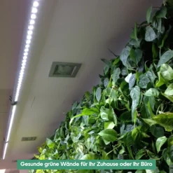 Wall Spot 150cm, Abstrahlwinkel 45°, LED Wachstumslampe, Grow Light für Zimmerpflanzen und Grünpflanzen, Fassaden- und Wandbegrünung ^ Parus by Venso Discount