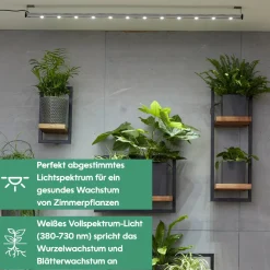 Wall Spot 120cm, Abstrahlwinkel 120°, LED Wachstumslampe, Grow Light für Zimmerpflanzen und Grünpflanzen, Fassaden- und Wandbegrünung ^ Parus by Venso Online