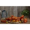 KHW Pflanzhilfe Tomatenhut 3er Set mit Schutzfolie Online