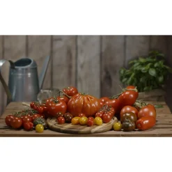 KHW Pflanzhilfe Tomatenhut 3er Set mit Schutzfolie Online