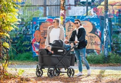 Sitz für Klappbollerwagen Cruiser – anthrazit ^ Pinolino Online