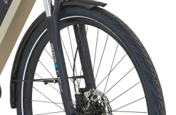 E-Bike Geniesser 3.8 RH48 ^ Prophete Discount