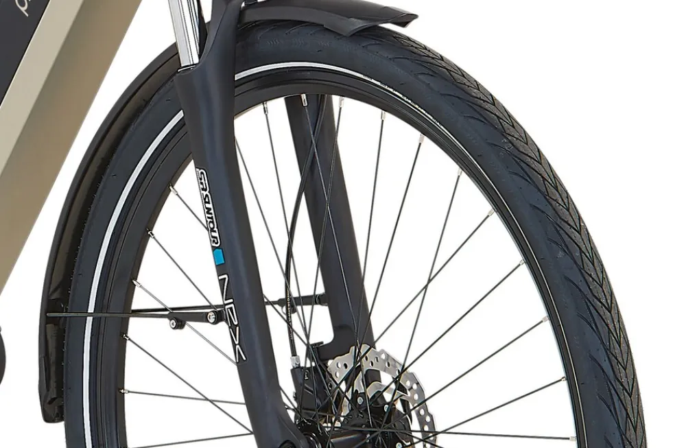 E-Bike Geniesser 3.8 RH48 ^ Prophete Discount