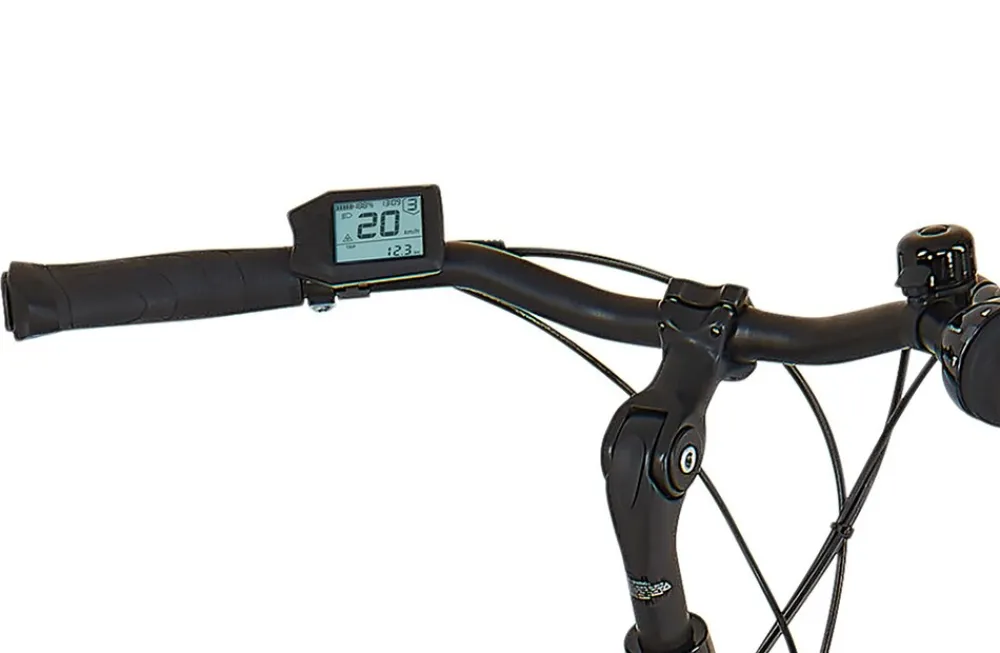 E-Bike Geniesser 3.8 RH48 ^ Prophete Discount