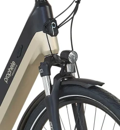 E-Bike Geniesser 3.8 RH48 ^ Prophete Discount