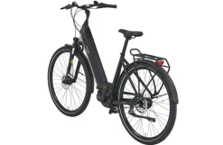 E-Bike Geniesser 3.8 RH48 ^ Prophete Discount